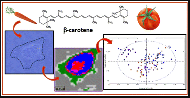 in vitro analysis