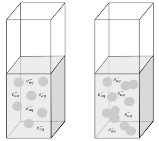 Schematic representation of electron scavenging by albumin: (left cuvette) without ethanol, the effective electron capture volume (circles) by n HSA molecules (distributed uniformly in solution is equal to n·Vaq where Vaq is the spherical capture volume of isolated HSA); (right cuvette) in the presence of ethanol the effective electron capture volume VEtOH is smaller than n·Vaq, which is caused by overlapping of the scavenging spheres of albumin molecules firmly sticked (non-uniform blobs).