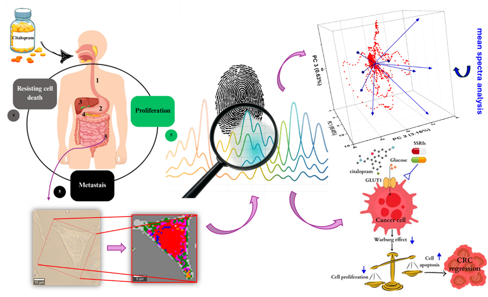 analytical chemistry