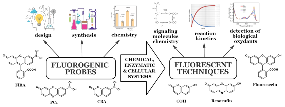 BioMedChem Sceintific Interests