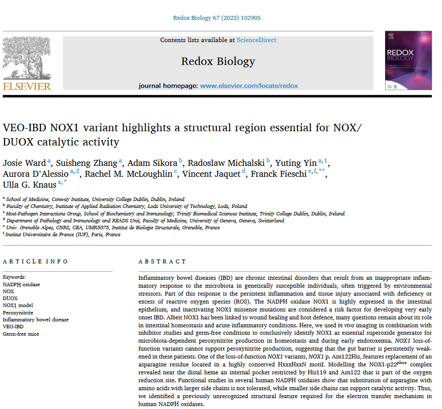 A. Sikora, R. Michalski - Bedox Biology 67 2023